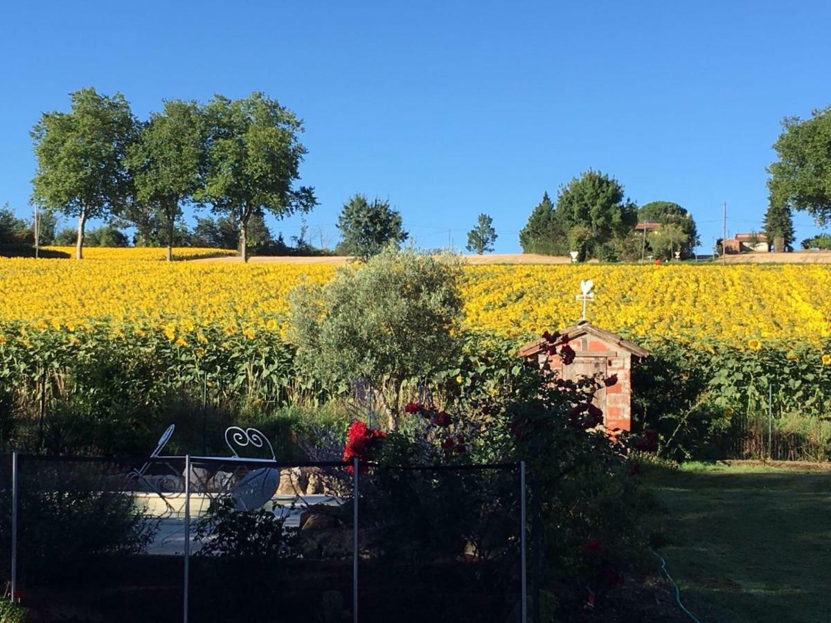 Caraman Le Mas De Briquepierre Bed & Breakfast エクステリア 写真